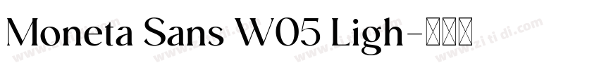 Moneta Sans W05 Ligh字体转换